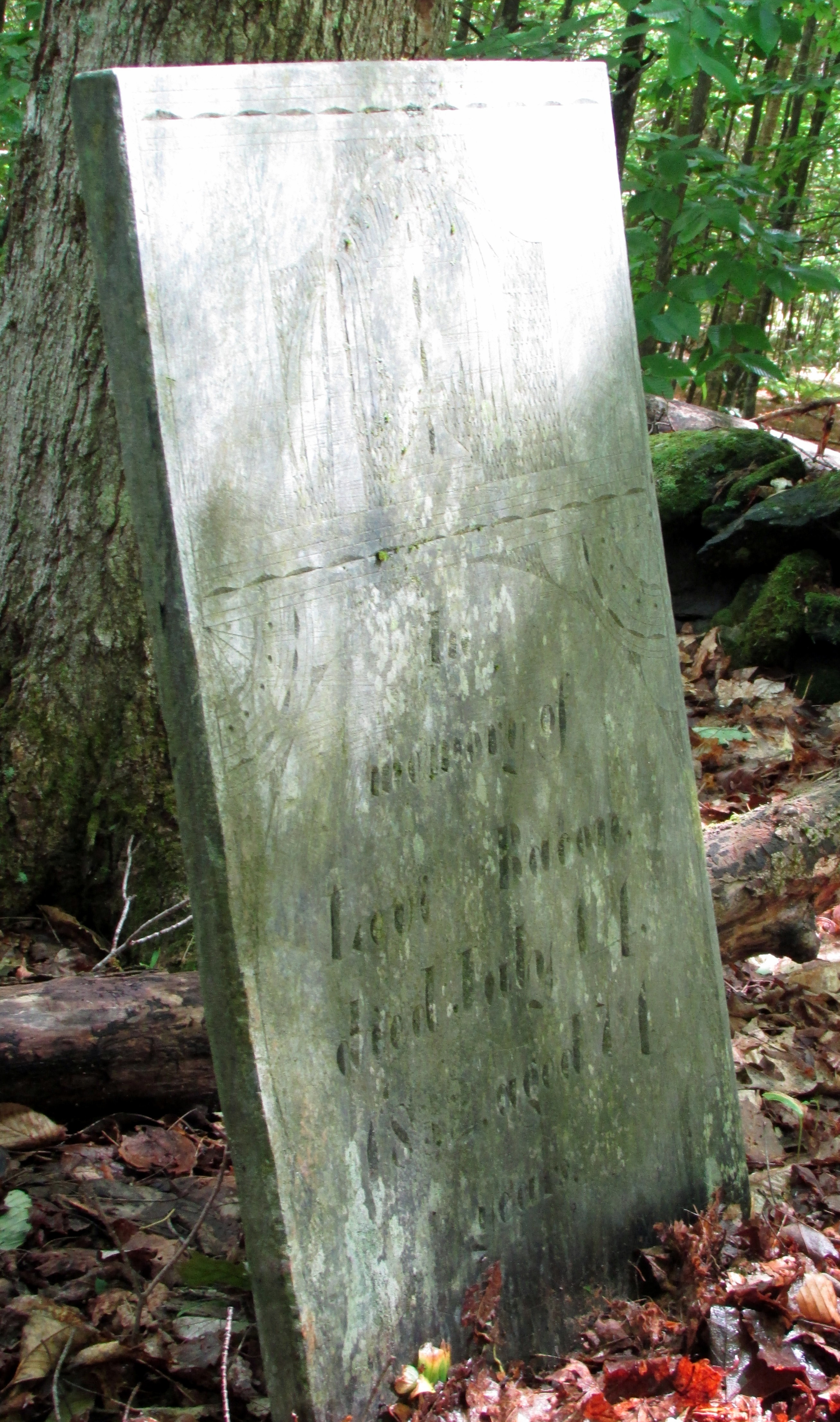 Gravestone of Levi Bacon