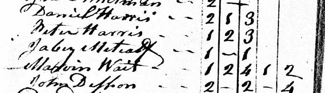 Household of Jabez Metcalf in 1790