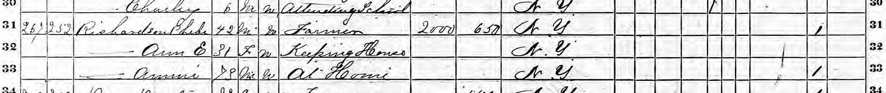 Household of Phebe or Phelee Richardson in 1870