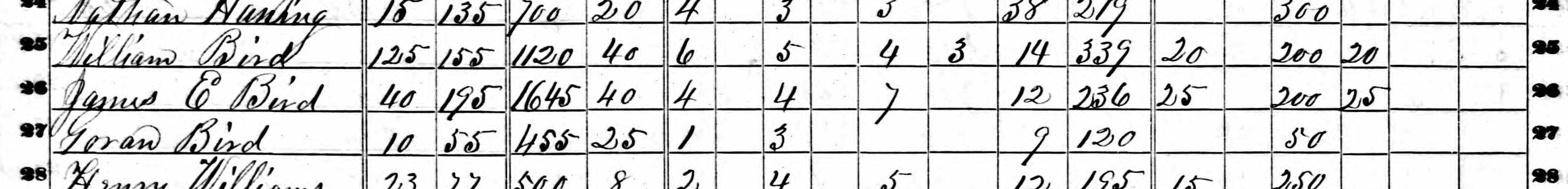 William, James E, and Gorum Bird in the 1850 agricultural census