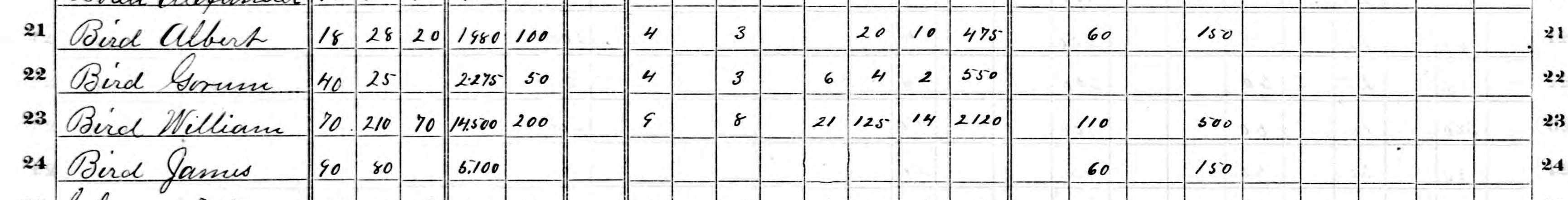 Albert, Gorum, William, and James Bird in the 1870 agricultural census