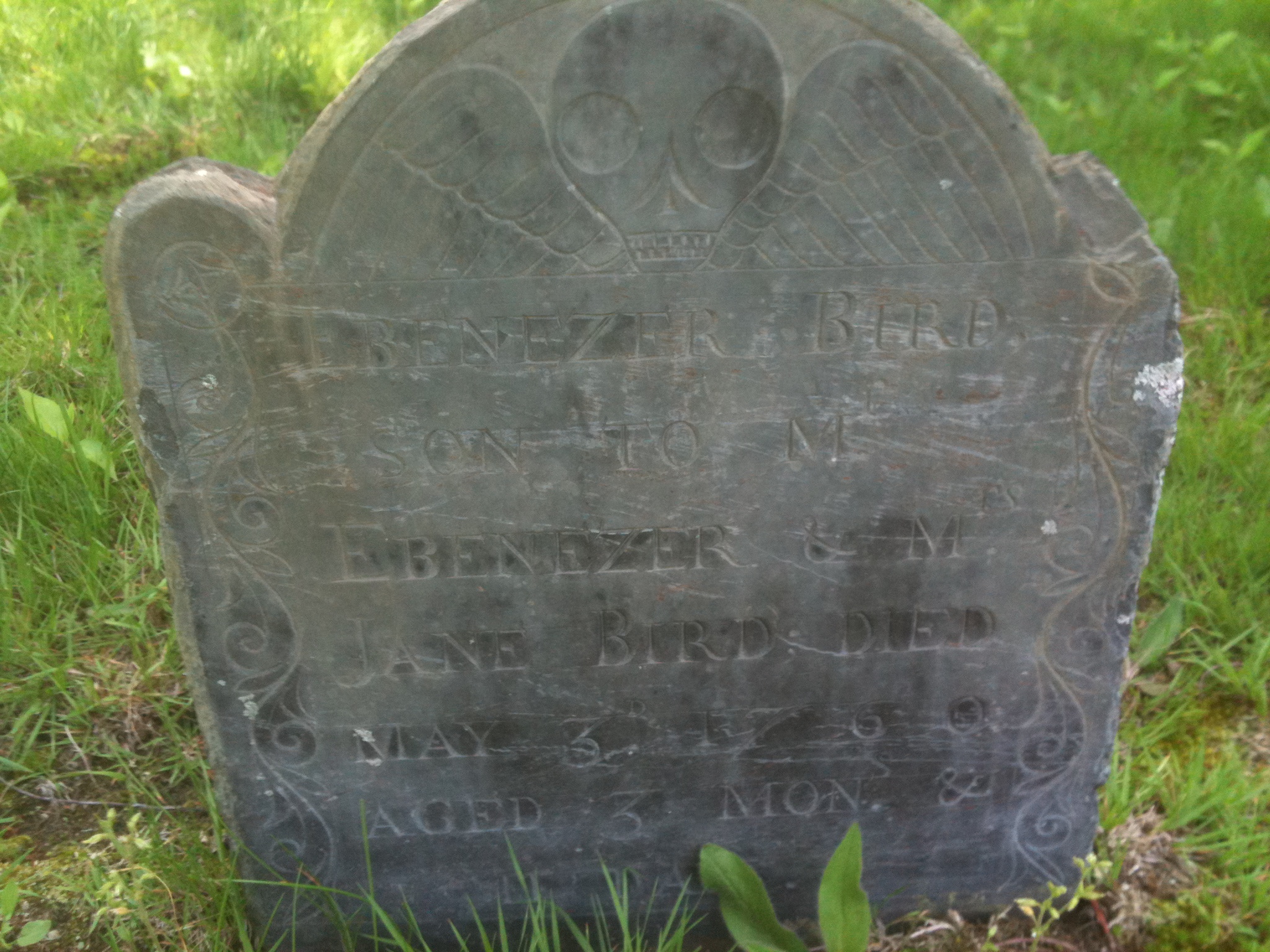 Gravestone of Ebenezer Bird, son of Ebenezer and Jane