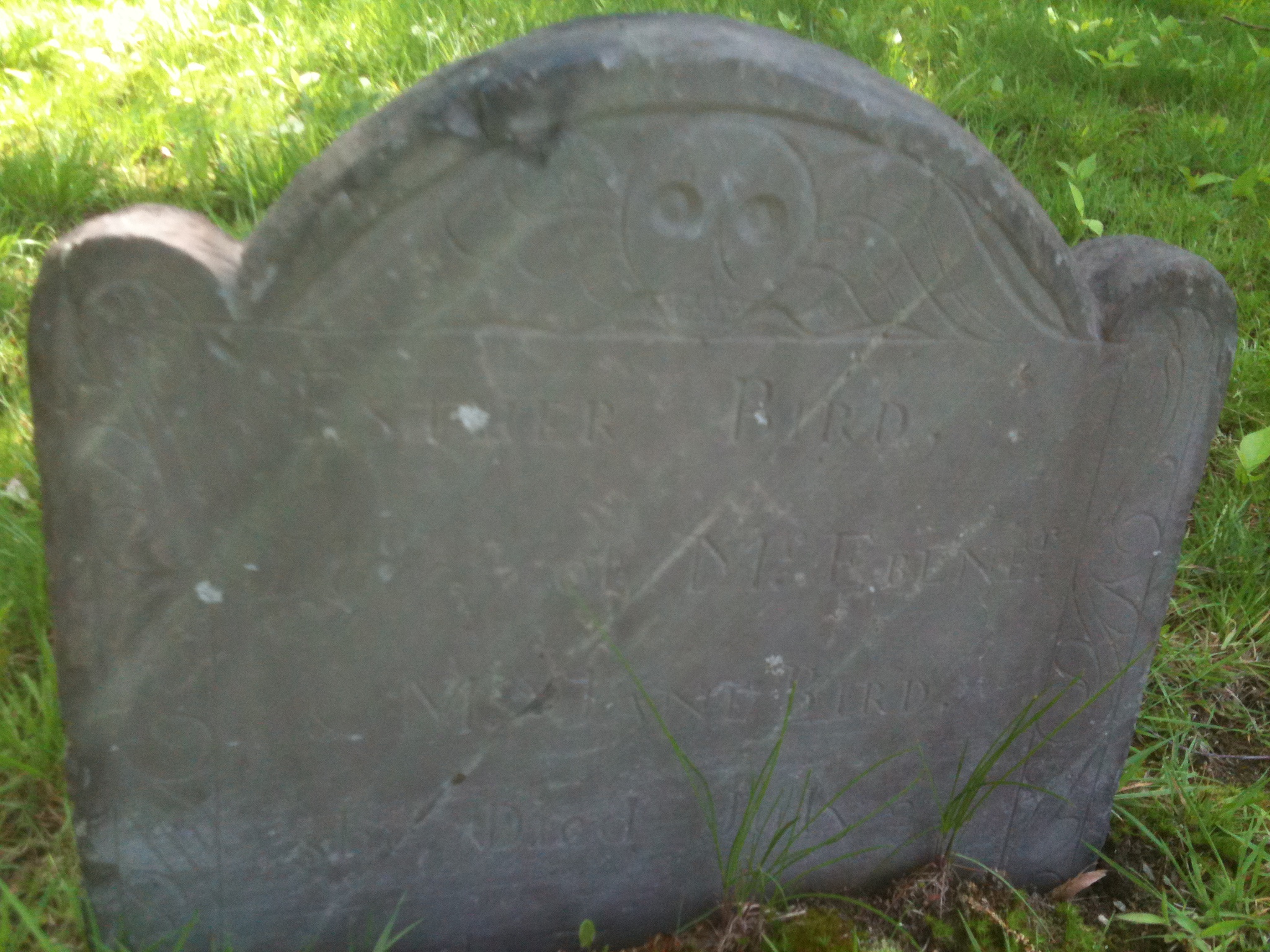 Gravestone of Esther Bird, daughter of Ebenezer and Jane