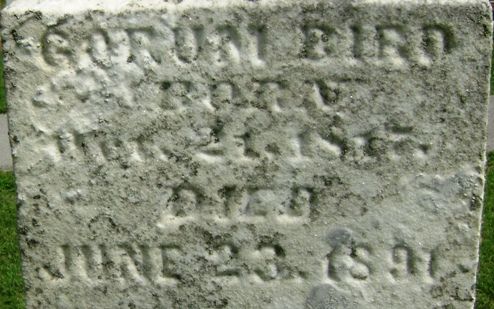 Part of gravestone showing Gorum's information