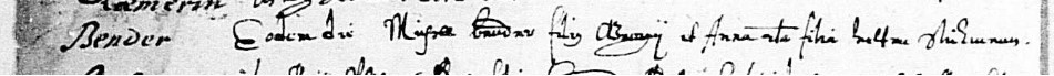 Marriage record for Michell Bender and Anna Sturm