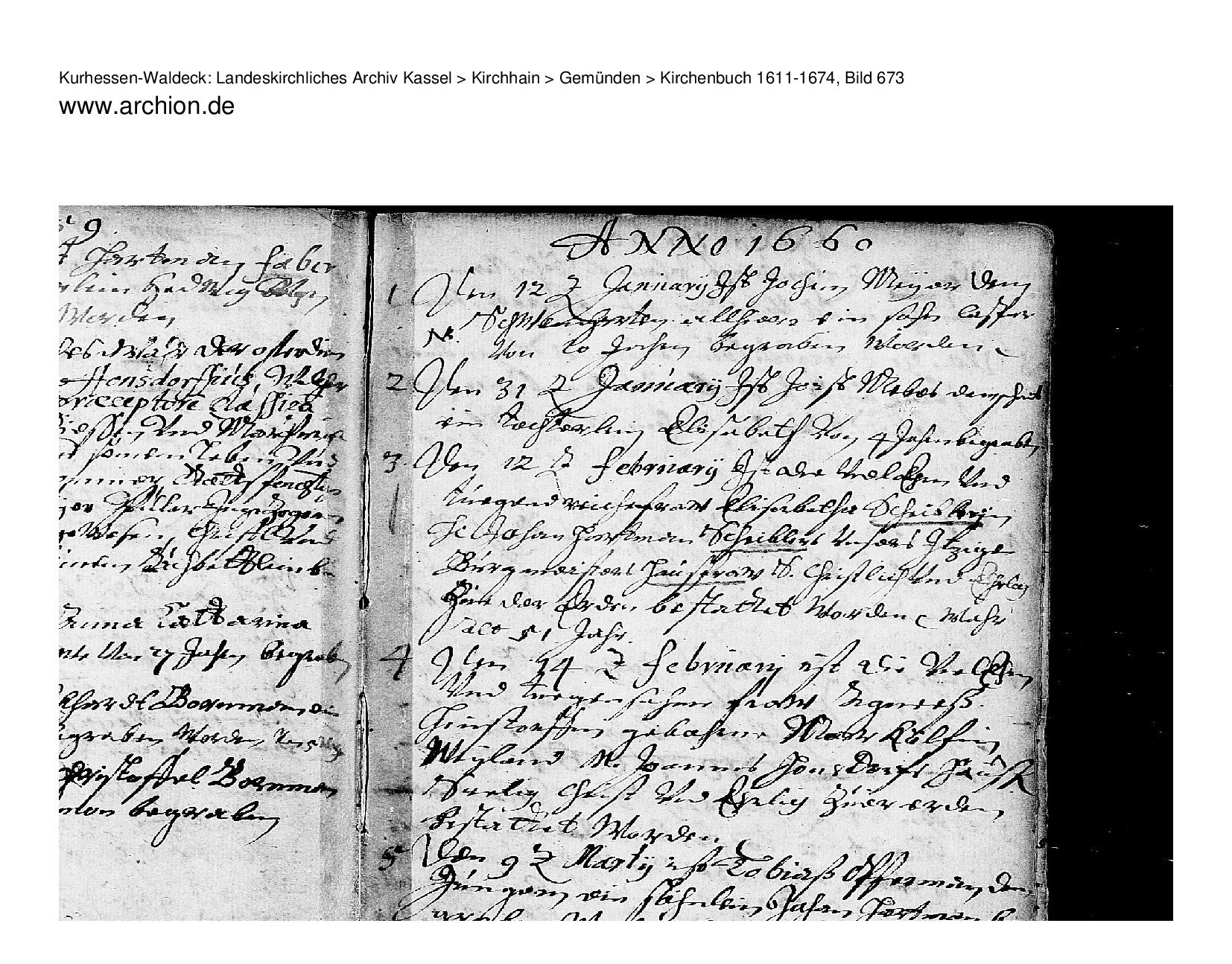 Death record of Elisabeth Scheibler