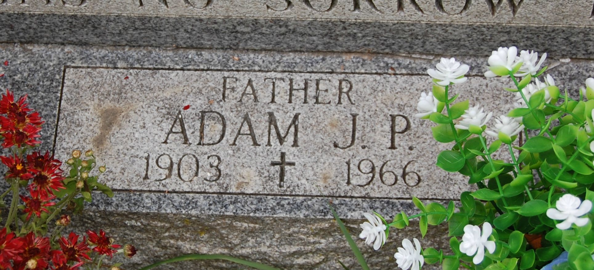 Detail of gravestone, showing Adam J. P. Knoll's information