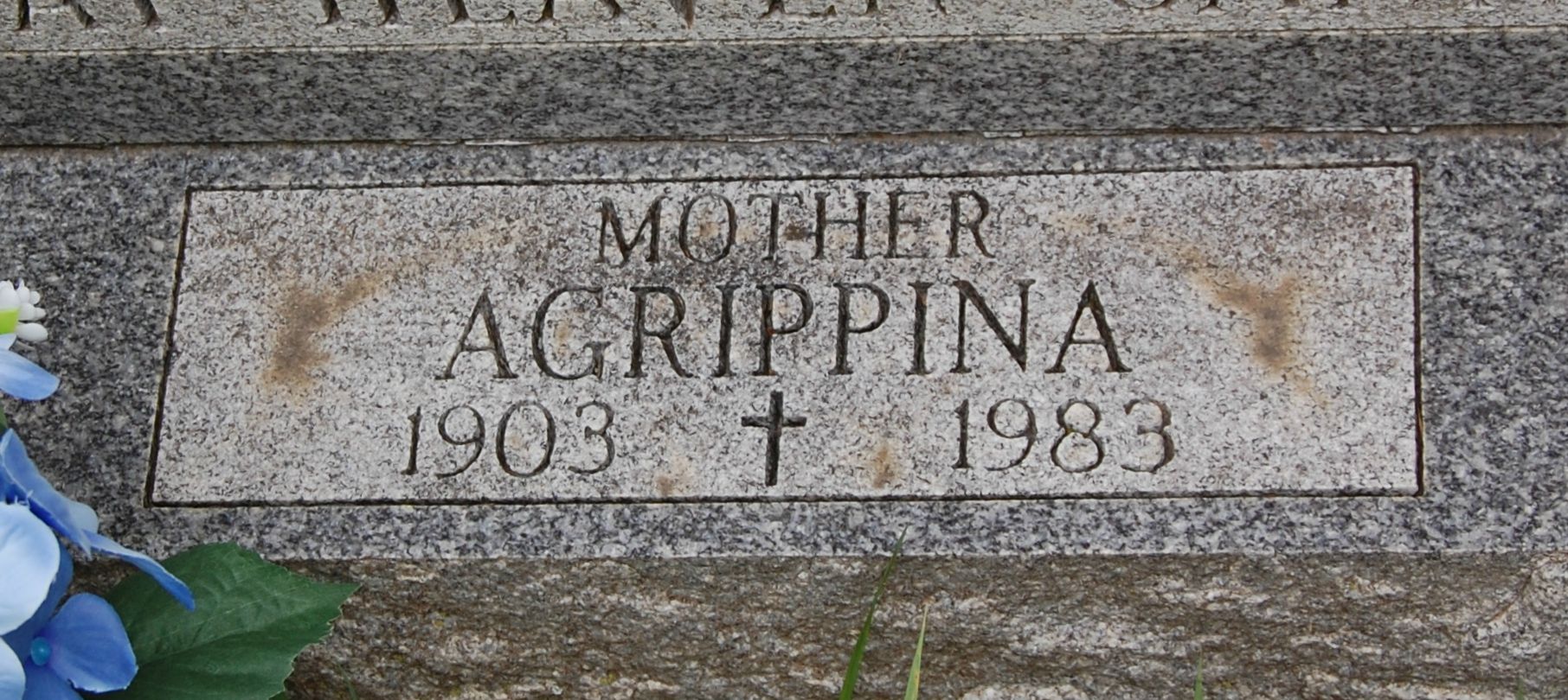 Detail of gravestone, showing Agrippina Knoll's information