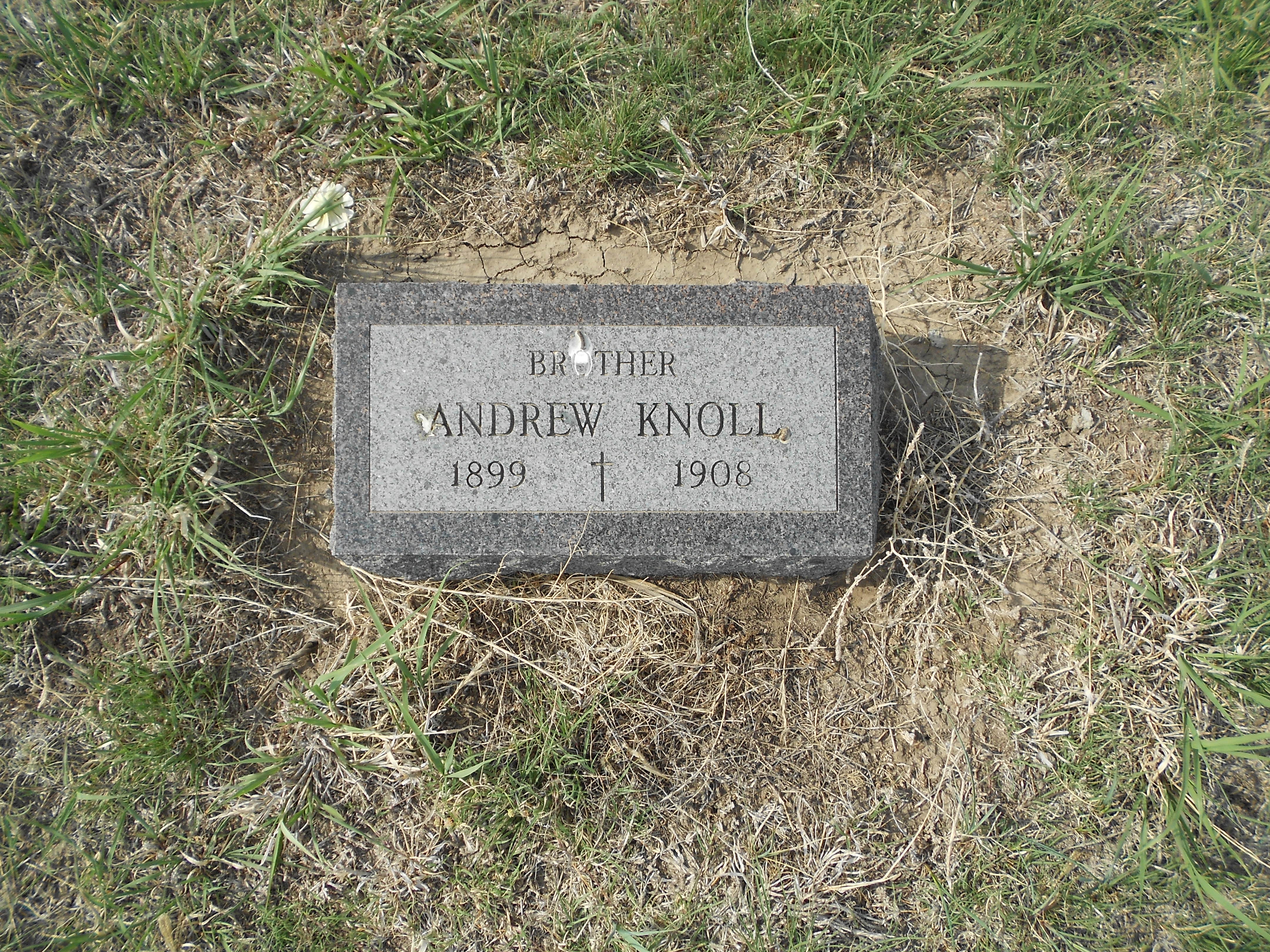 Gravestone of Andrew Knoll