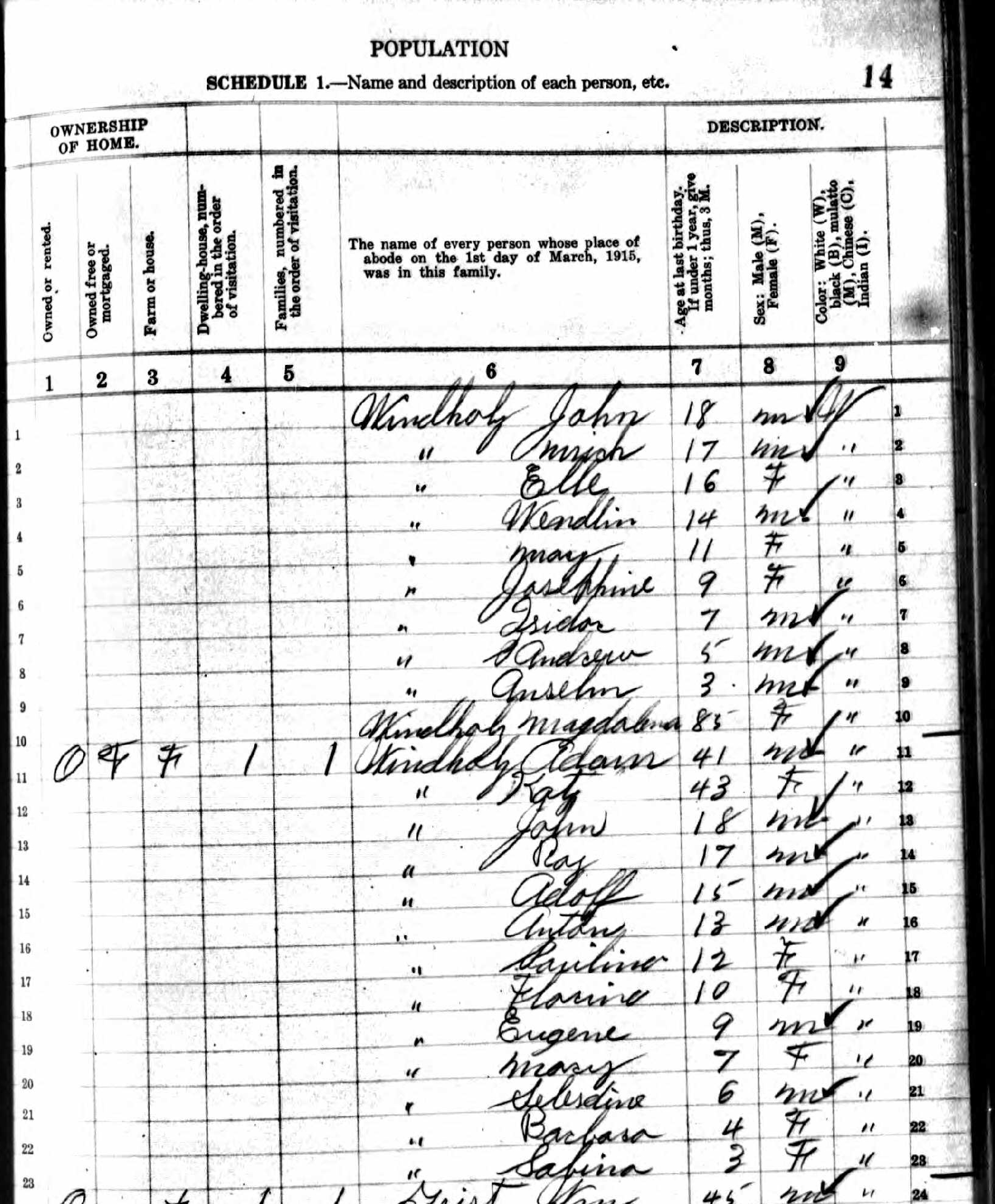 Katy Windholz family in 1895, continued